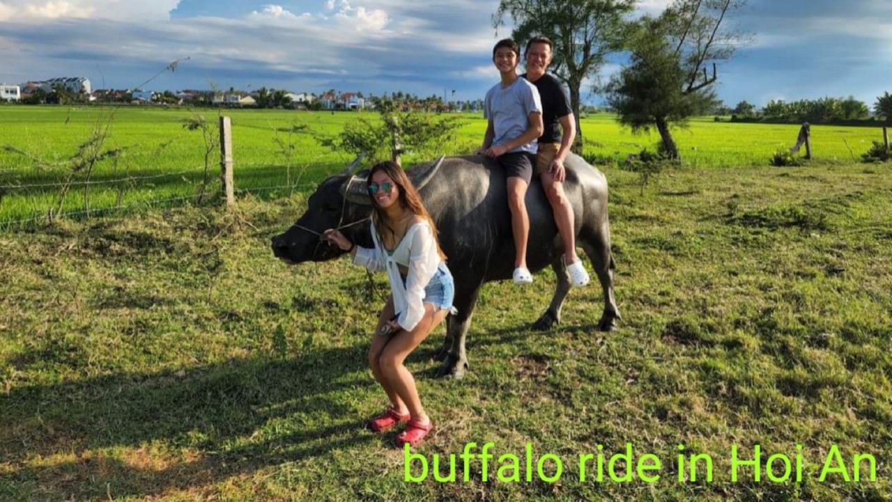 Things To Do Around Tra Que Village