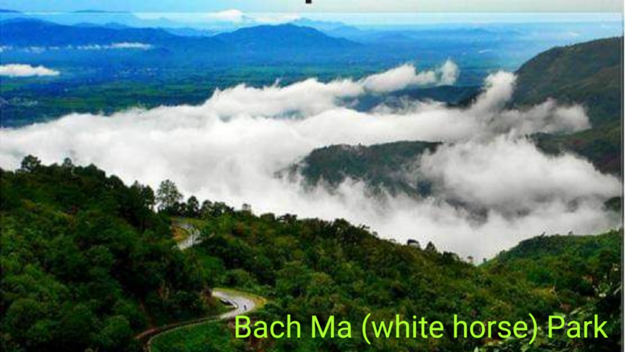 Bach Ma National Park Tour From Da Nang