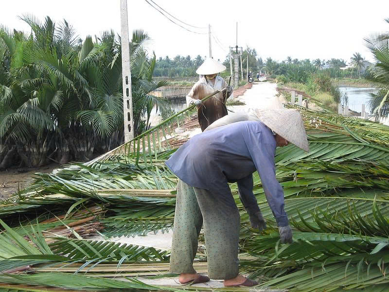 Hoi An Rural Bike Tour