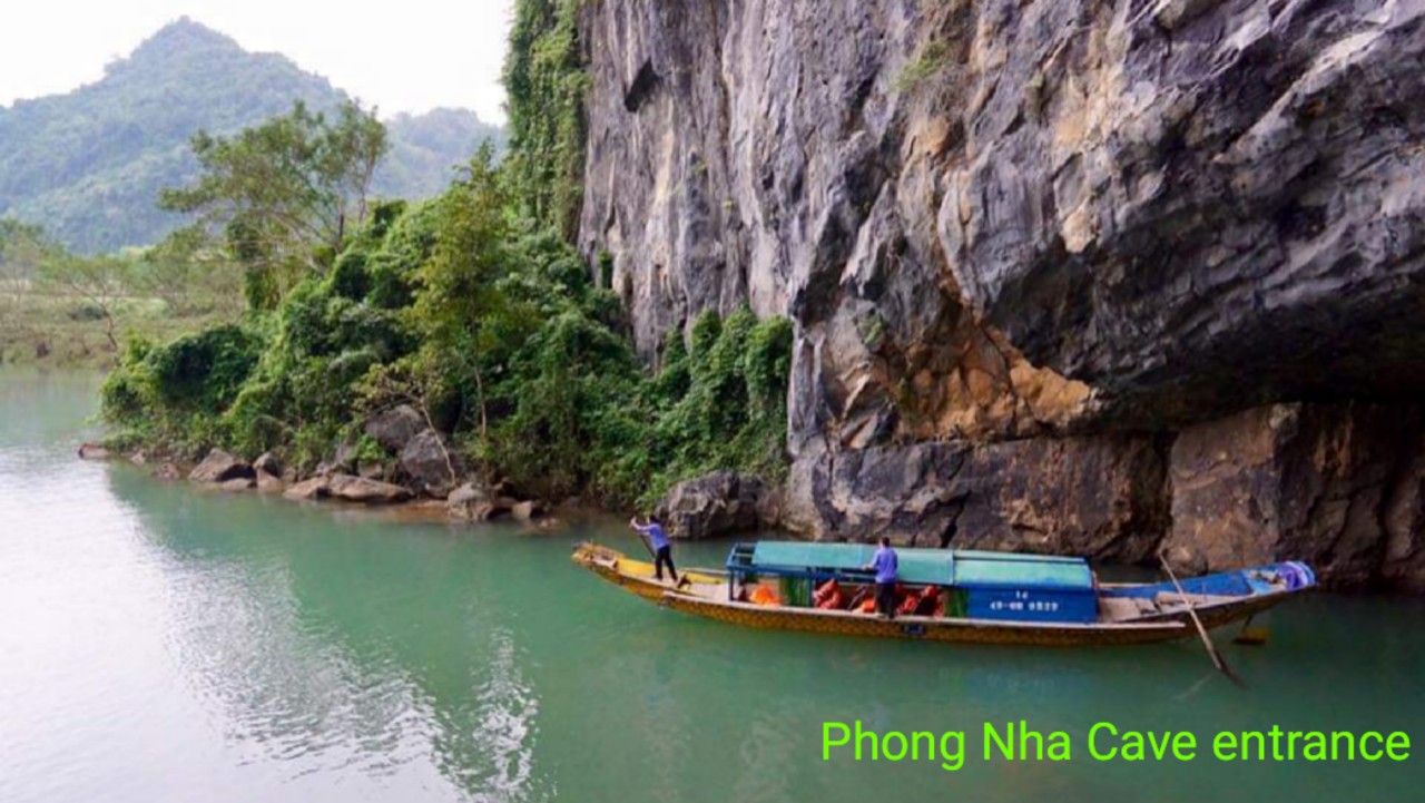 Phong Nha Paradise Cave Tour 1 Day