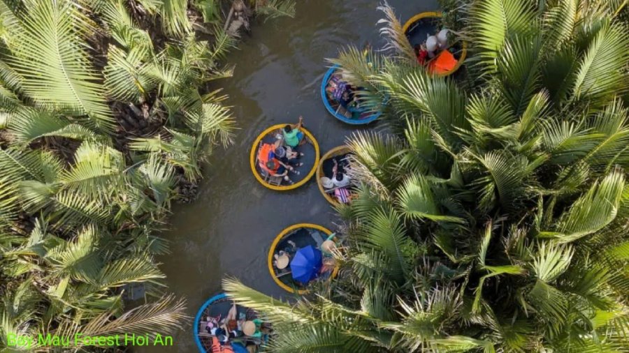 Half Day Hoi An Bamboo Boat Tour From Da Nang