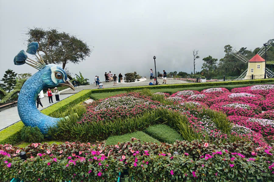 Ba Na Hills Private Day Trip