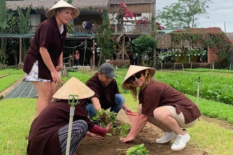 Hoi An Full Day Tour