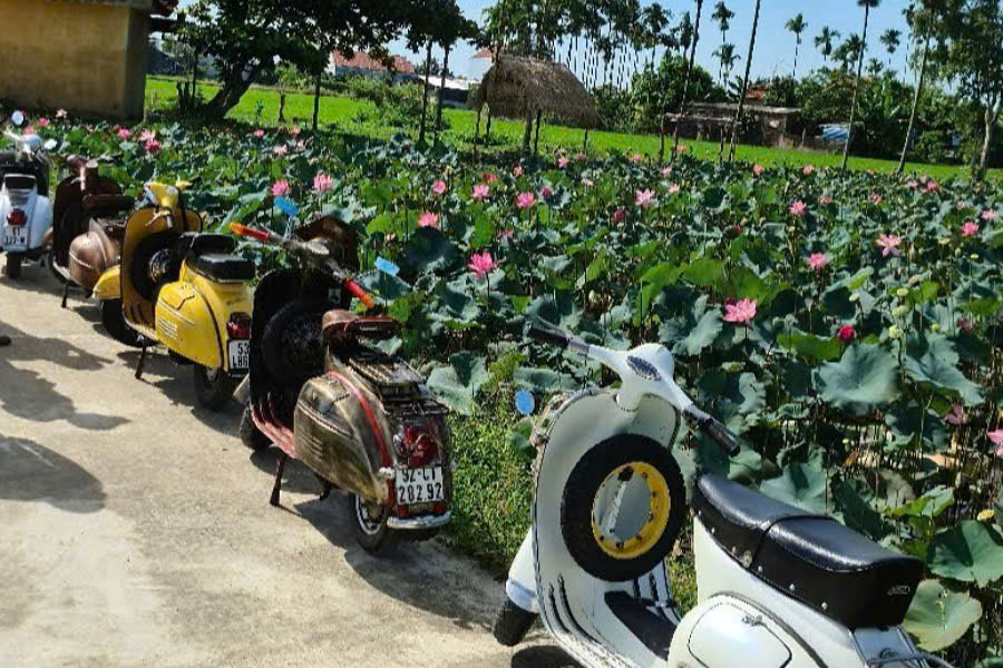Half Day Scooter Tour Hoi An