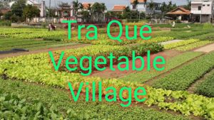 Tra Que Vegetable Village