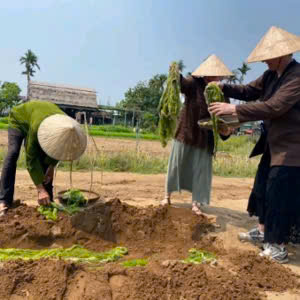 Tourist learning traditional vegetable farming at Tra Que Village in Hoi An
